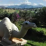 ファームステイ Agrotatry U Stachy ブコビナ・タトシャンスカ