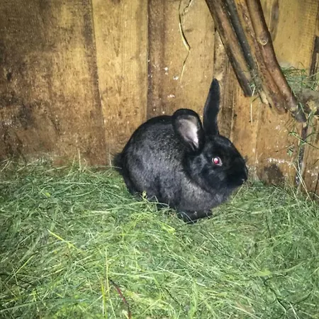 Çiftlik konaklama Agrotatry U Stachy *