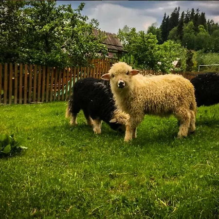 Agrotatry U Stachy Bukowina Tatrzanska