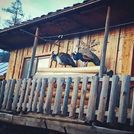 Agrotatry U Stachy *