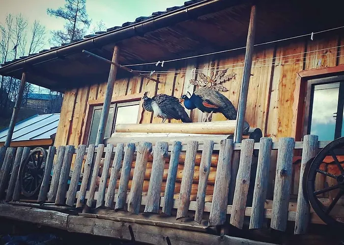 Agrotatry U Stachy *